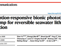 太原理工/香港城大/新加坡国立水凝胶光热海水提锂:“越吸附,越溶胀;越溶胀,越吸附”