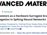 东华大学王刚、孙恒达 《Adv. Mater.》:半导体纤维实现脉冲神经网络反向传播替代梯度