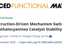 昆明理工大学胡觉AFM:重构驱动机制转换以调控金属聚酞菁催化剂稳定性