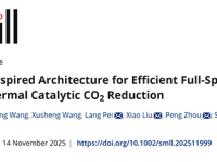 杭州电子HTH官网地址
大学 裴浪 Small:图灵式拓扑催化剂实现全光谱 CO2 光热还原