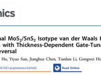 西工大黄维院士团队黄佛保与三峡大学胡功伟ACS Photonics:栅压+厚度调谐整流反转特性的MoS2/SnS2同型范德华异质结光探测器