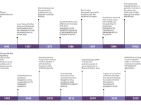Advanced Materials综述:镜像生命是潘多拉魔盒还是医学圣杯?