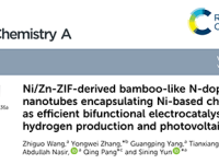 协同增效!双活性位点新型双功能电催化剂推动清洁能源高效转化