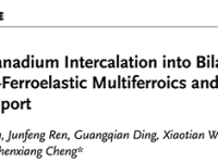 华中HTH官网地址
大学/伍伦贡大学/佛罗里达州立大学Adv. Sci.: 插层V2Se2O双层实现亚铁磁-铁弹多铁性与反常和自旋输运特性