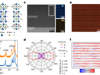 清华大学于浦Nature Materials.:双层钙钛矿钴氧化物中几何效应驱动的极性反铁磁金属态