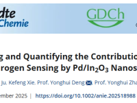 郑州轻工业大学张永辉教授团队&复旦大学邓勇辉教授Angew:基于Pd/In2O3纳米片阐释与定量分析氧物种在氢传感中的贡献