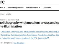3D纳米打印登上Nature!