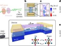 超快磁翻转新突破:科学家首次实现非热与热辅助双模式操控