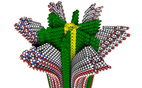 新型聚合物让你秒变“大力士”
