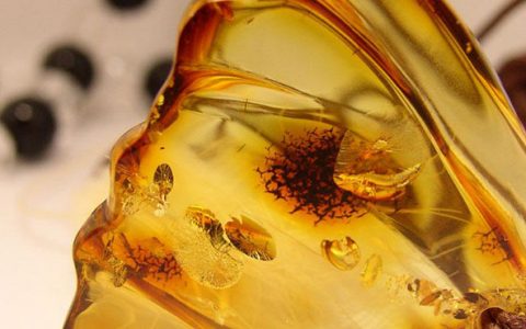 碳纳米管可使核能操作更安全