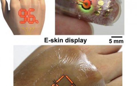 Science Advances文献导读：东京大学开发超薄有机材料助力电子皮肤（e-skin）成像技术