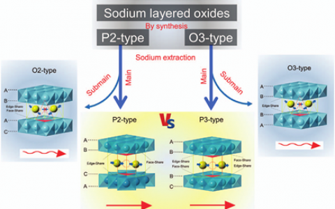 NPG Asia Materials: 层状P2和P3氧化物中钠离子的扩散:晶体结构间桥接和电化学性能