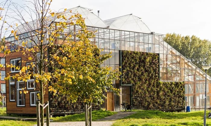 glass-houses-34