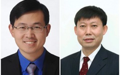 长春应化所：侧链活化共轭聚合物及其在光伏器件的应用