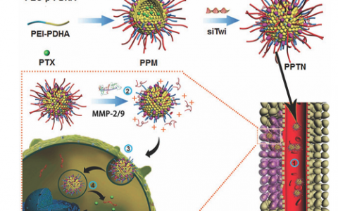 顶刊动态 | AM/AFM/ACS Nano等纳米材料最新学术进展汇总【20160718期】