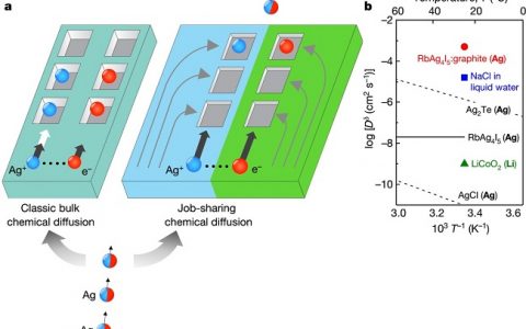 Nature：人工混合导体中的协同超快大容量存储和消除