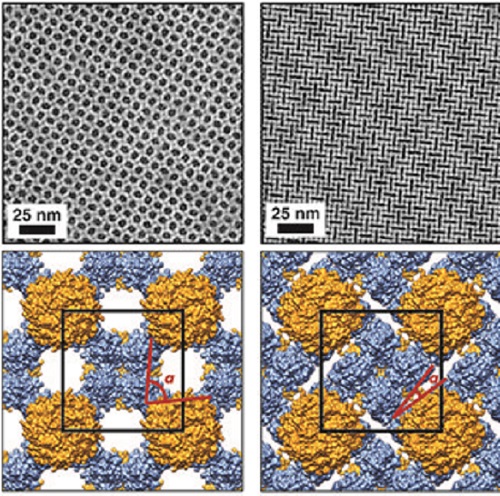 Breathable-and-Stretchable-Protein-Wafers-lrg