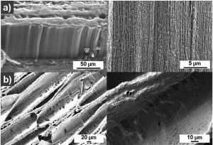 fig6