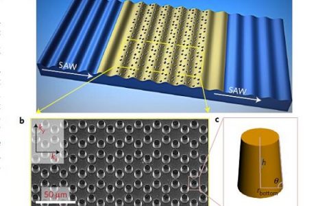 Nat. Mater. 南京大学研发新型微结构材料：表面声子石墨烯