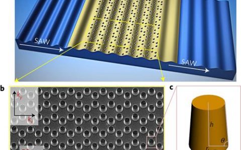 顶刊动态 | Nature子刊/AM等材料前沿一周中国科研成果精选【第59期】