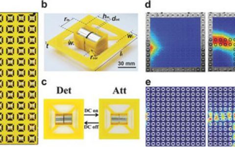 Adv. Mater. 北京理工大学-低频下的可调数字超材料