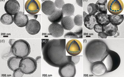 Angew. Chem. Int. Ed. 华中HTH官网地址大学研发具有结构依赖释放行为的嵌段共聚物胶囊