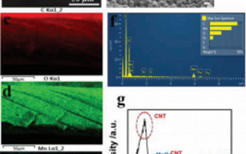 Adv. Mater.中科院微电子所:石墨烯提高阳离子基存储器件稳定性