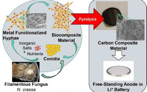 举杯共饮，同庆工程师们研发出新型储能材料