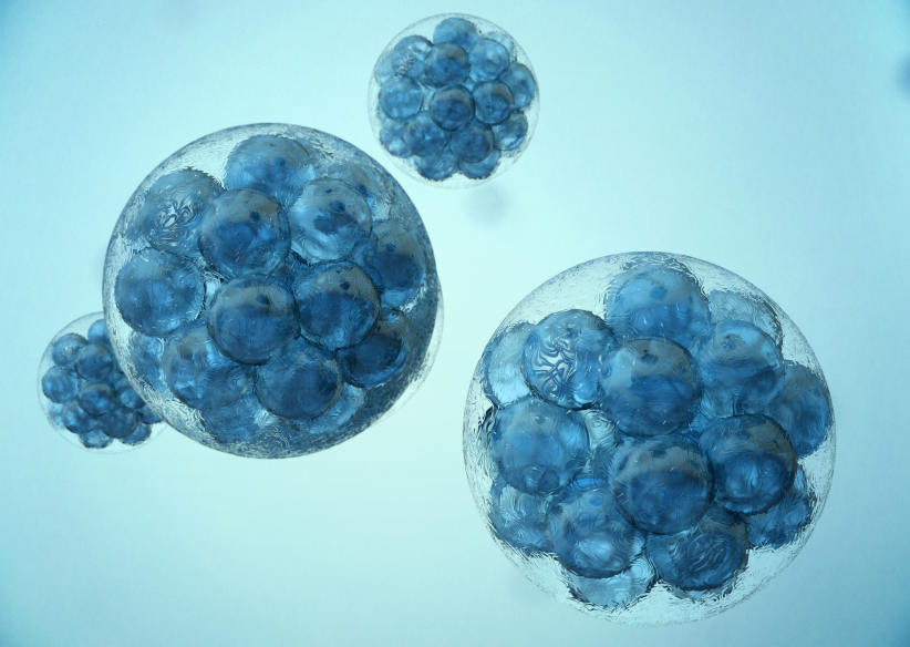 2016年SCI收录生物材料学科期刊目录、影响因子及分区