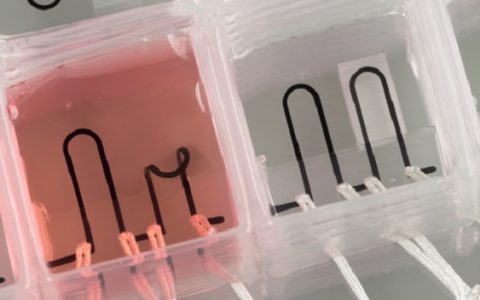 3D打印的一小步，人类健康的一大步！