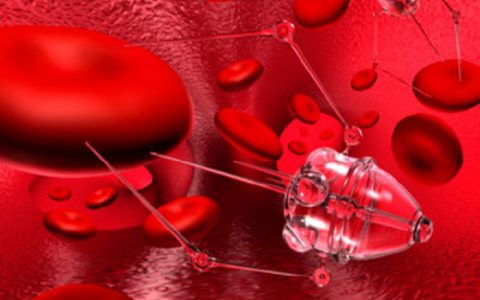 你相信有自然纳米技术存在吗？