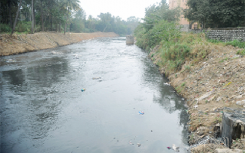 废水变成生物燃料？分分钟的事儿！