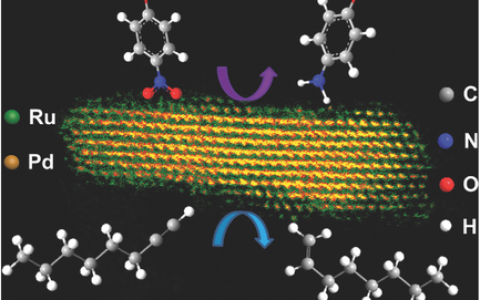 Adv. Mater.: 一种制备高性能修饰亚单层Ru的超薄Pd NSs的方法