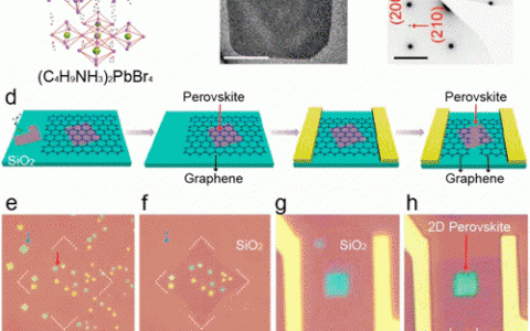 JACS：面向高性能光电探测器的二维钙钛矿晶体