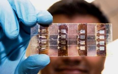 材料人报告 | 钙钛矿领域SCI发文统计分析