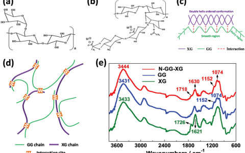 Energy Environ. Sci.：生物聚合物网络粘结剂极大地提高锂硫电池的面积比容量