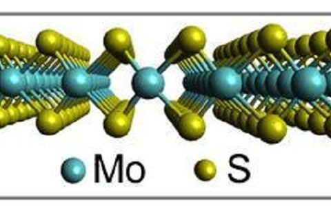 2D材料丰富3D世界——二硫化钼