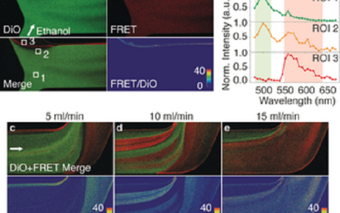 Angew. Chem. Int. Ed. ：通过FRET成像实时监测纳米颗粒的形成