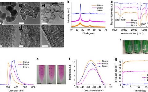 Nature子刊：中空氮化硼纳米球作为B元素容器用于治疗前列腺癌症