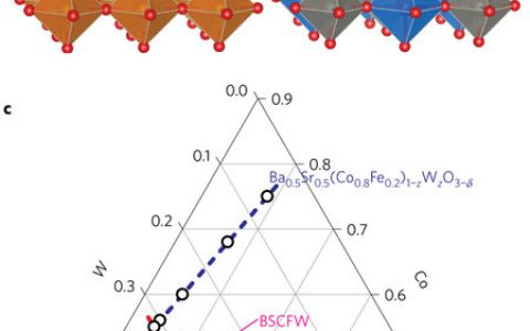 Nature子刊：自组装的双相钙钛矿阴极用于中温固体氧化物燃料电池