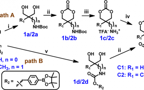 Macromolecules：接枝苯硼酸酯的氧化可降解脂肪族聚碳酸酯