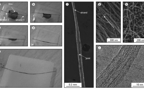 学术干货 | 一文读懂碳纳米管互连技术最新进展