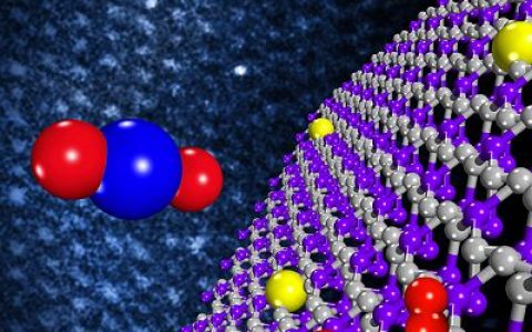 材料人报告|单金属催化剂领域SCI发文数据解读