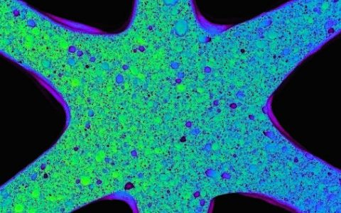 自然的启迪，小草的智慧