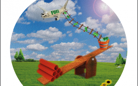 天津大学Angew. Chem. Int. Ed.封面：光电水氧化领域取得新进展-成功制备高温煅烧赤铁矿纳米管阵列