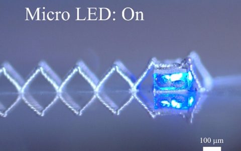 仿生3D打印技术打造强硬轻质结构