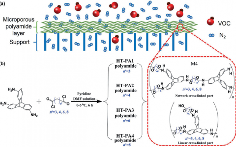 南京工业大学Angew. Chem. Int. Ed. ：用于从挥发性有机化合物中筛选氮的微孔聚酰胺膜