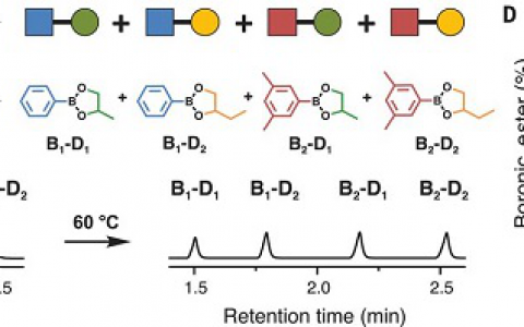 Science: 通过二氧杂硼烷复分解反应对普通热塑性塑料改性制备高性能塑料vitrimers