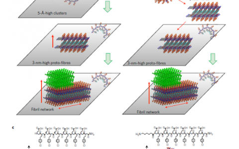 Nature子刊：通过仿生聚合物的序列工程来调整结晶途径