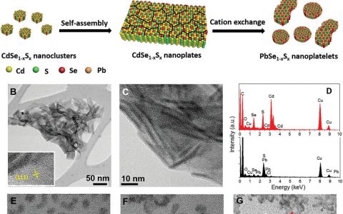 Adv. Energy Mater. ：二维纳米片光电特性调谐